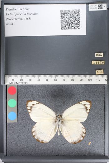 Media type: image;   Entomology 130409
